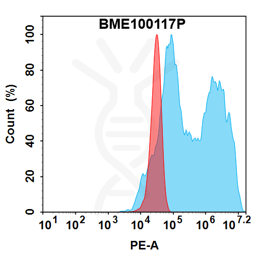 PE-conjugated Anti-IFNAR1(anifrolumab biosimilar) mAb – Figure 1 of 1