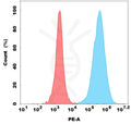 PE-conjugated Anti-GPC3(Hu9F2) mAb – Figure 1 of 1
