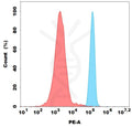 PE-conjugated Anti-5T4 (H8 biosimilar) mAb – Figure 1 of 1