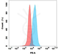 PE-conjugated Anti-TM4SF1 (AGX101 biosimilar) mAb – Figure 1 of 1