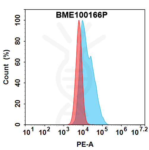 PE-conjugated Anti-CGRPR(Erenumab biosimilar) mAb – Figure 1 of 1