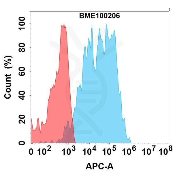 Anti-CD19(loncastuximab biosimilar) mAb – Figure 1 of 1
