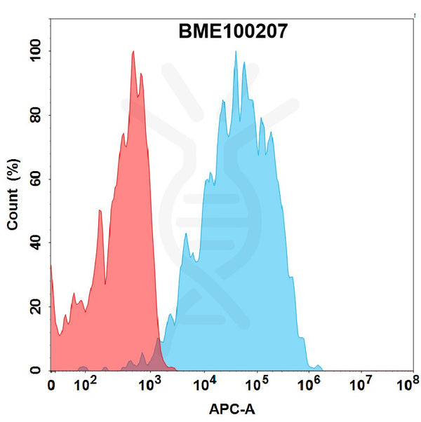 Anti-NKG2D(5C5 biosimilar) mAb – Figure 1 of 1