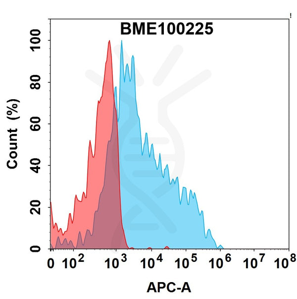 Anti-CD79B (polatuzumab biosimilar) antibody, Rabbit IgG Chimeric mAb – Figure 1 of 1