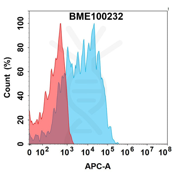 Anti-CDH6(raludotatug biosimilar) mAb – Figure 1 of 1