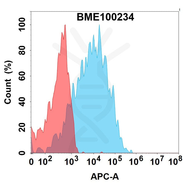 Anti-CDH6(AMT-707 biosimilar) mAb – Figure 1 of 1