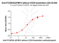 Anti-FCGR3A(AFM13 without CD30 biosimilar) mAb – Figure 1 of 1