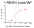 Anti-CXCR3 (53Hu37 biosimilar)mAb – Figure 1 of 1