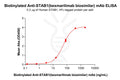 Biotinylated Anti-STAB1(bexmarilimab biosimilar) mAb – Figure 1 of 1