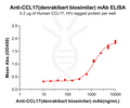 Anti-CCL17(denrakibart biosimilar) mAb – Figure 1 of 1