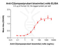 Anti-C2(empasiprubart biosimilar) mAb – Figure 1 of 1