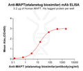 Anti-MAPT(etalanetug biosimilar) mAb – Figure 1 of 1