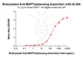 Biotinylated Anti-MAPT(etalanetug biosimilar) mAb – Figure 1 of 1