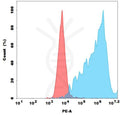 PE-conjugated Anti-PD-1(rosnilimab biosimilar) mAb – Figure 1 of 1