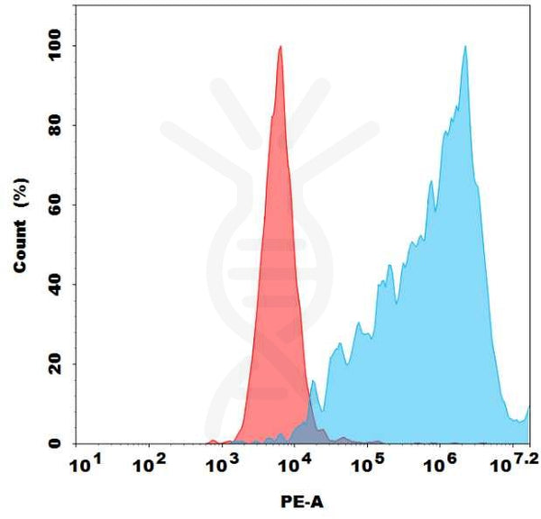PE-conjugated Anti-PD-1(rosnilimab biosimilar) mAb – Figure 1 of 1