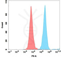 PE-conjugated Anti-CD19(tafasitamab biosimilar) mAb – Figure 1 of 1