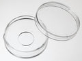 35 mm Micro Well Dishes – D35-14, 35 mm dish with 14 mm micro-well, without coverslip