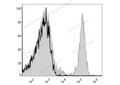 APC Anti-Mouse CD8a Antibody[53-6.7] – Figure 1 of 2