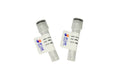 ACAD8 Rabbit Polyclonal Antibody – Figure 1 of 1