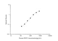 Uncoated Human BNP (Brain Natriuretic Peptide) ELISA Kit – Figure 1 of 4