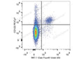 PE/Cyanine7 Anti-Mouse CD122/IL-2RB Antibody[5H4] – Figure 1 of 2