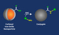 Carboxyl Iron Oxide Nanoparticles Conjugation Kit – Figure 1 of 1