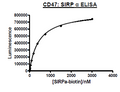 CD47, His-Tag (Human) Recombinant – Figure 1 of 2