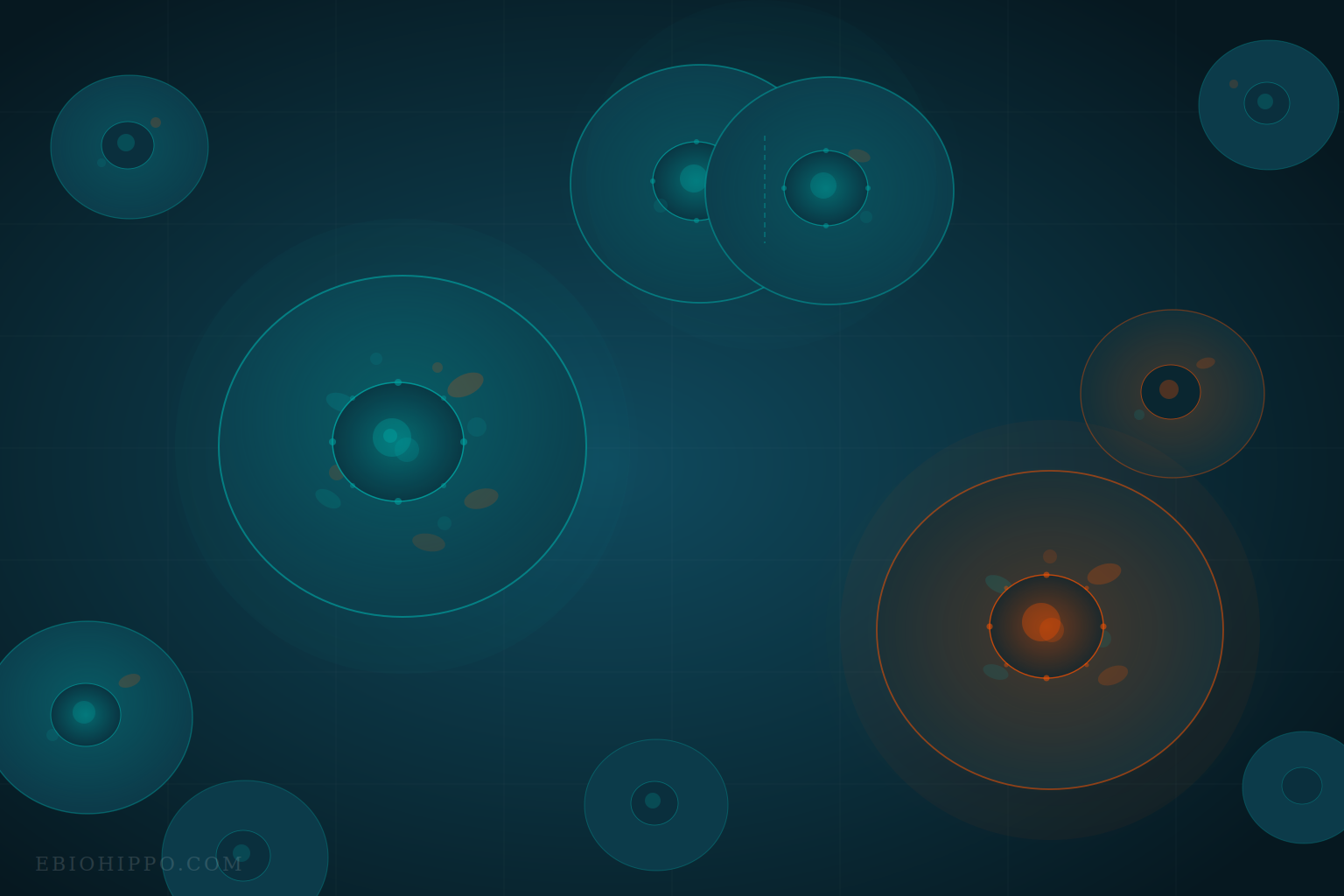 31,000+ cell lines — STR-profiled, mycoplasma-free. Primary cells, iPSCs, and disease models. BioHippo.