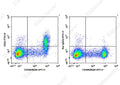 FITC Anti-Mouse CD23 Antibody[B3B4] – Figure 1 of 2