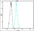 Anti-c-FOS – Figure 1 of 1