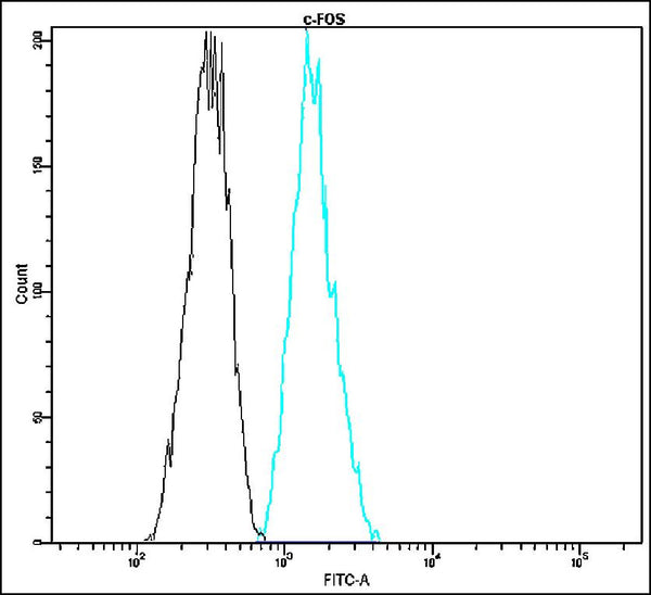 Anti-c-FOS – Figure 1 of 1