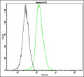 Anti-nephrin – Figure 1 of 1