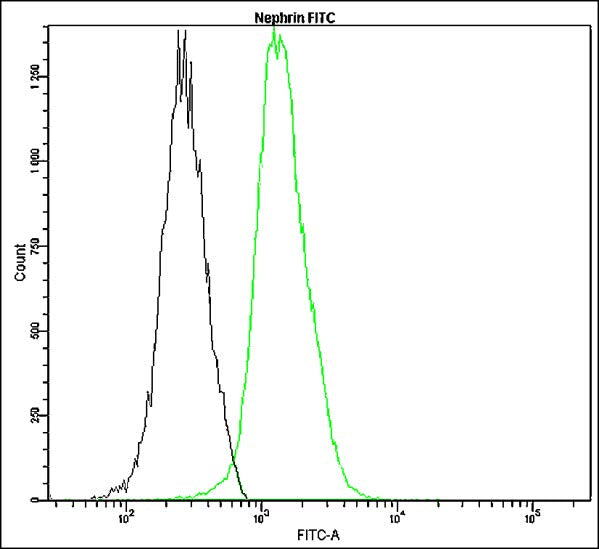 Anti-nephrin – Figure 1 of 1