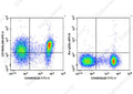 APC Anti-Mouse CD150/SLAM Antibody[TC15-12F12.2] – Figure 1 of 2