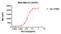 Anti-ROR1 antibody(172B7), IgG1 Chimeric mAb – Figure 1 of 1