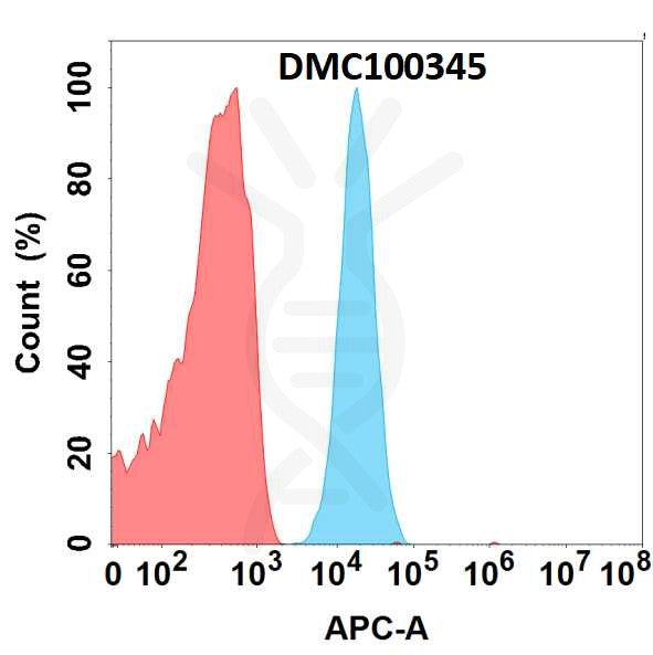 Anti-CD93 antibody(5B10), IgG1 Chimeric mAb – Figure 1 of 1
