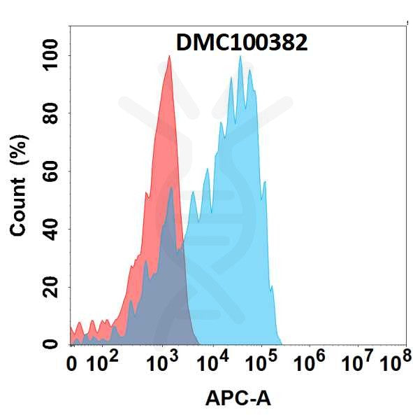 Anti-CSF1R antibody(9A5), IgG1 Chimeric mAb – Figure 1 of 1