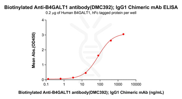 Biotinylated Anti-B4GALT1 antibody(DMC392), IgG1 Chimeric mAb – Figure 1 of 1