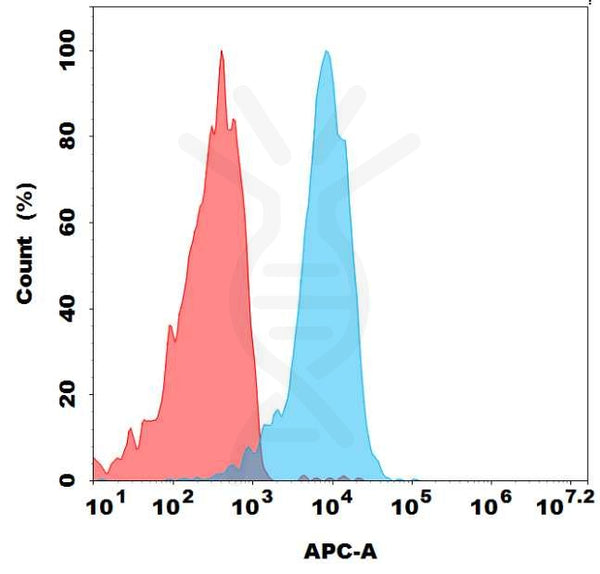 Biotinylated Anti-CD166 antibody(DMC682), IgG1 Chimeric mAb – Figure 1 of 1
