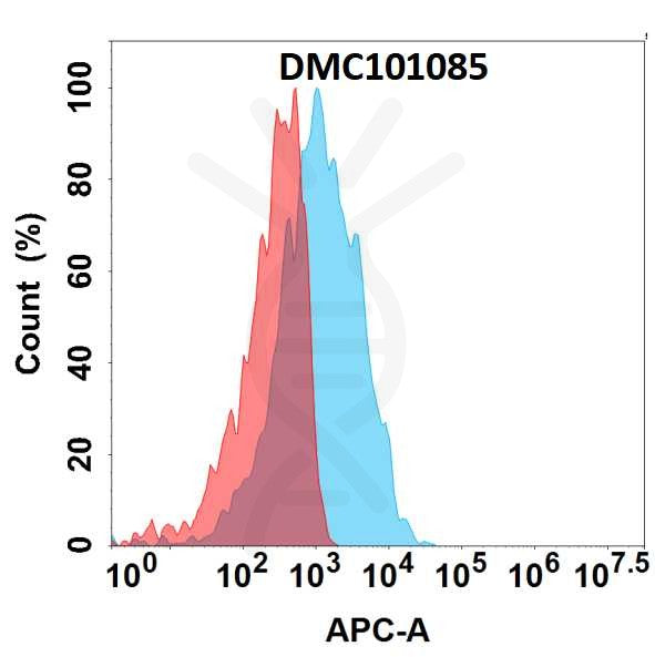 Anti-CD3E antibody(1G2), IgG1 Chimeric mAb – Figure 1 of 1