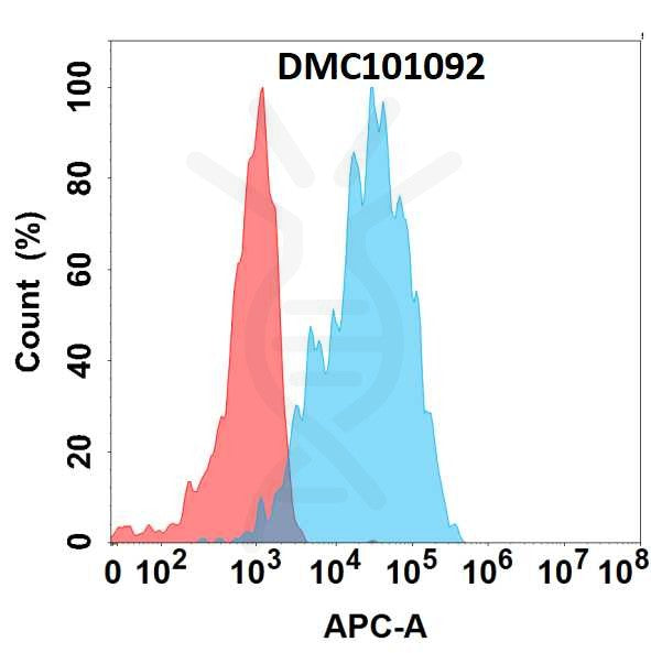 Anti-PGLYRP1 antibody(1E10), IgG1 Chimeric mAb – Figure 1 of 1