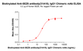 Biotinylated Anti-SEZ6 antibody(31A10), IgG1 Chimeric mAb – Figure 1 of 1