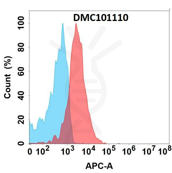 Anti-FLT3 antibody(19A5), IgG1 Chimeric mAb – Figure 1 of 1