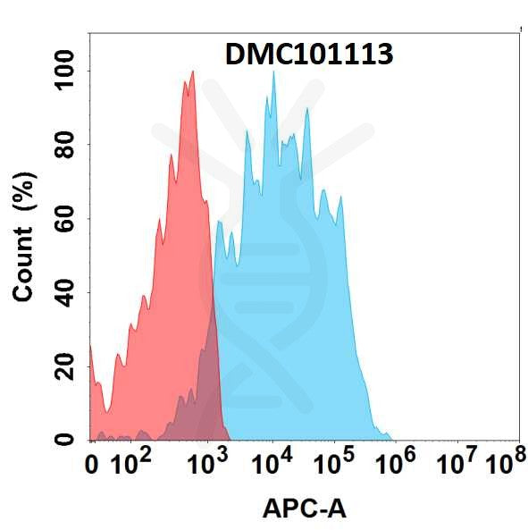 Anti-TIM-1 antibody(1G3), IgG1 Chimeric mAb – Figure 1 of 1