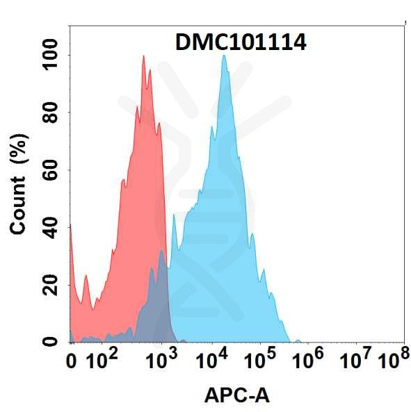 Anti-CD205 antibody(1D4), IgG1 Chimeric mAb – Figure 1 of 1