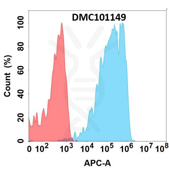 Anti-ANPEP antibody(26H2), IgG1 Chimeric mAb – Figure 1 of 1