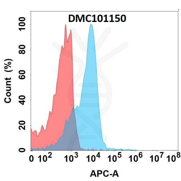 Anti-CD19 antibody(16B8), IgG1 Chimeric mAb – Figure 1 of 1