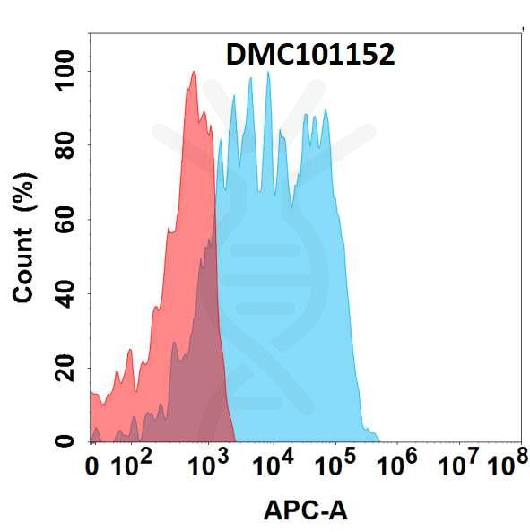 Anti-GPNMB antibody(11G4), IgG1 Chimeric mAb – Figure 1 of 1