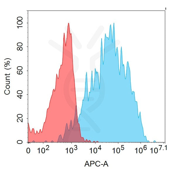 Anti-CD20 antibody(1F2), IgG1 Chimeric mAb – Figure 1 of 1