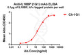 Anti-IL18BP antibody(1G1), IgG1 Chimeric mAb – Figure 1 of 1